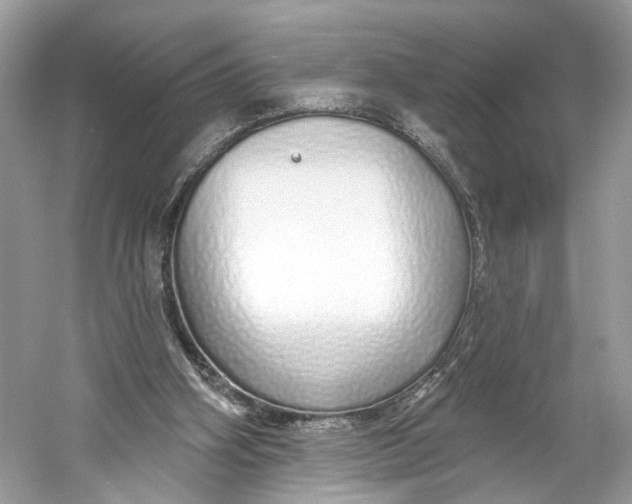 X0000060760106200512011524