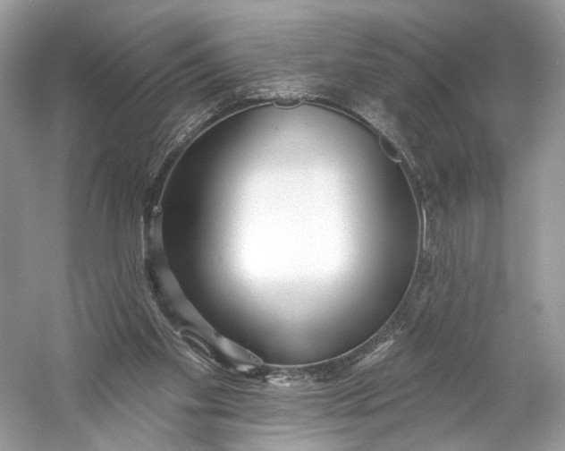 X0000060760109200512011524
