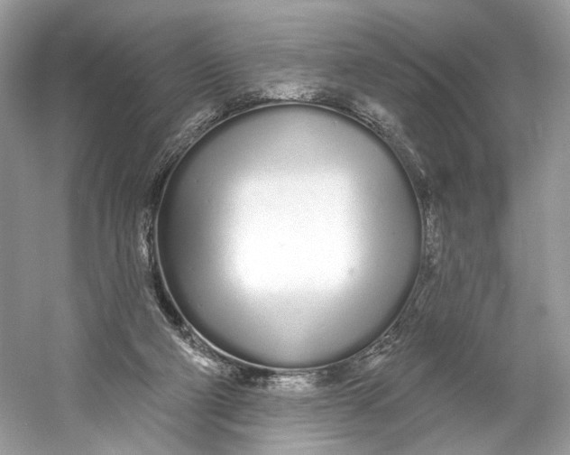 X0000060760114200512011524