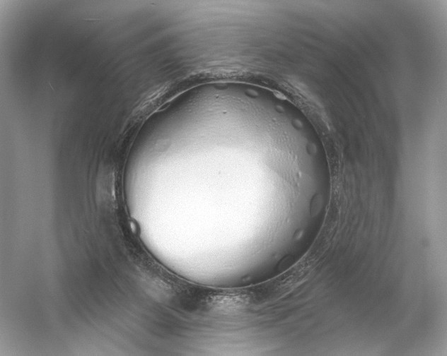 X0000060760115200512011524