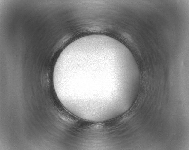 X0000060760116200512011524