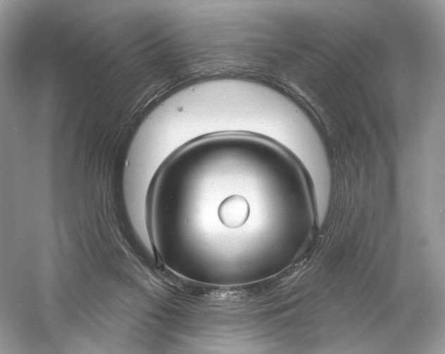 X0000060760117200512011524