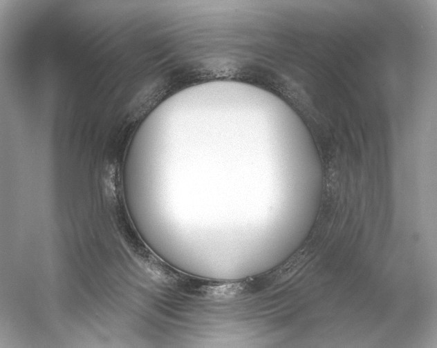 X0000060760122200512011524