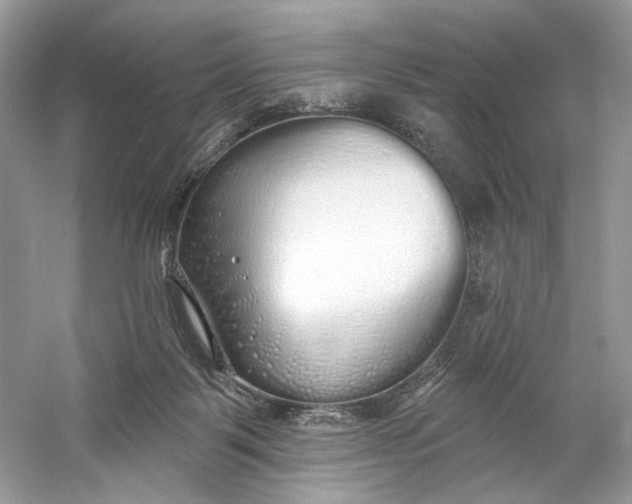 X0000060760123200512011524