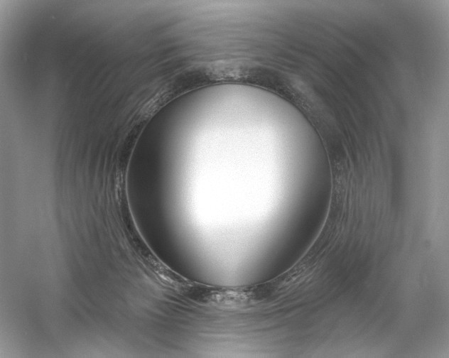 X0000060760125200512011524