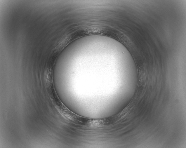 X0000060760126200512011524