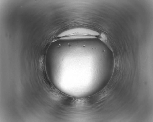 X0000060760127200512011524