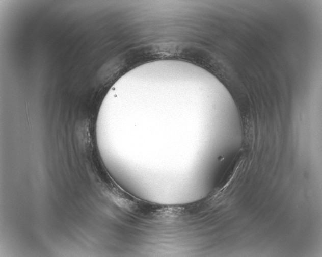 X0000060760128200512011524