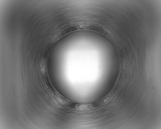 X0000060760129200512011524
