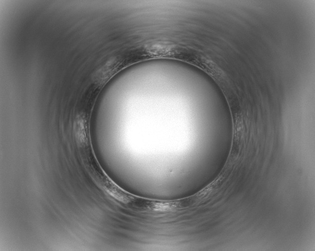 X0000060760130200512011524