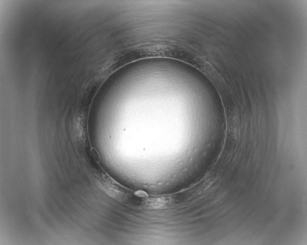 X0000060760131200512011524