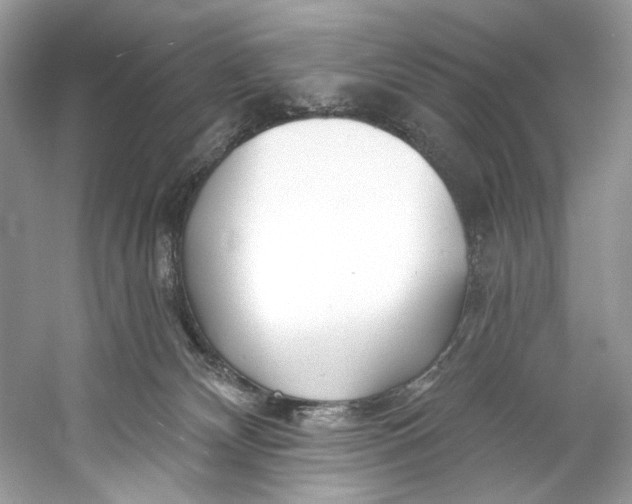 X0000060760132200512011524