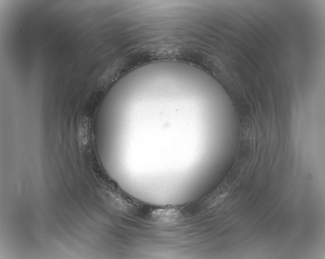 X0000060760133200512011524