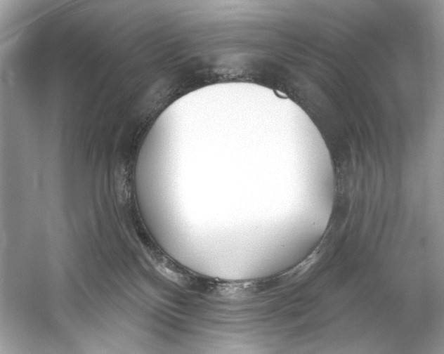X0000060760136200512011524