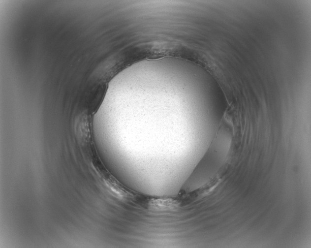 X0000060760137200512011524