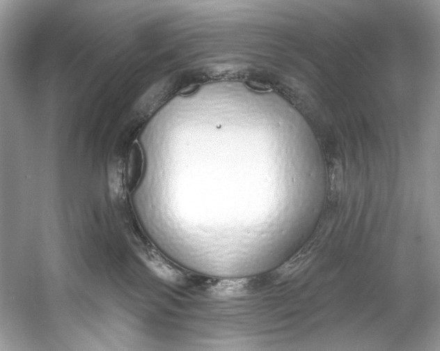 X0000060760138200512011524