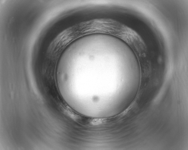 X0000060760142200512011524