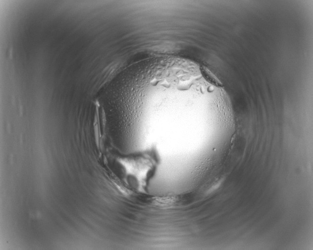 X0000060760143200512011524