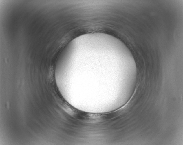 X0000060760144200512011524