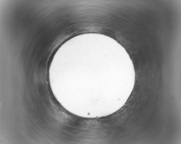 X0000060760146200512011523