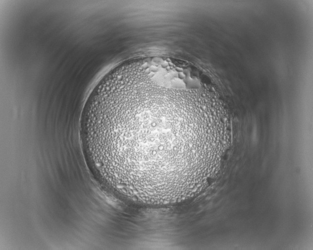 X0000060760147200512011523
