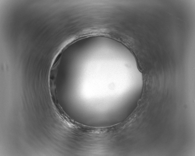 X0000060760148200512011523