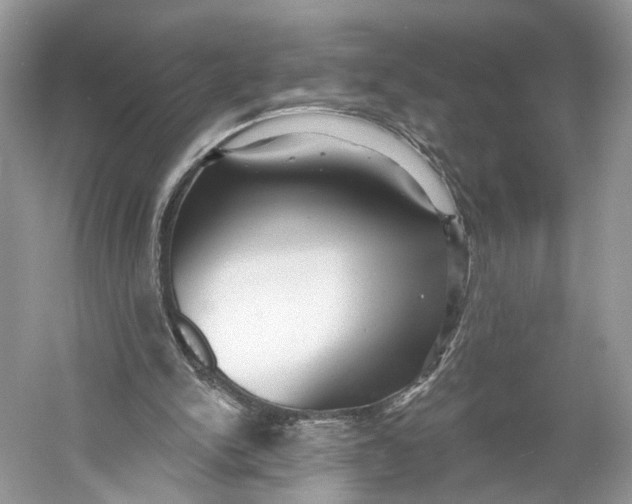 X0000060760150200512011523