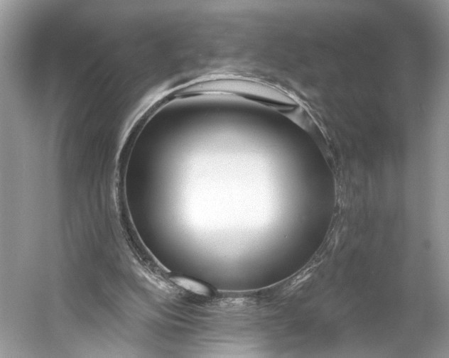X0000060760152200512011523