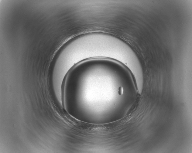 X0000060760156200512011523