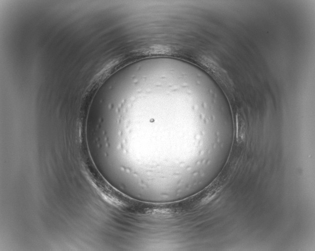 X0000060760157200512011523