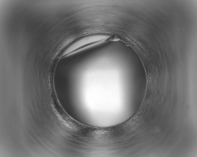 X0000060760158200512011523