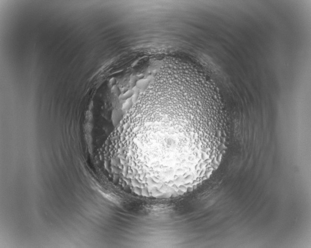 X0000060760165200512011523