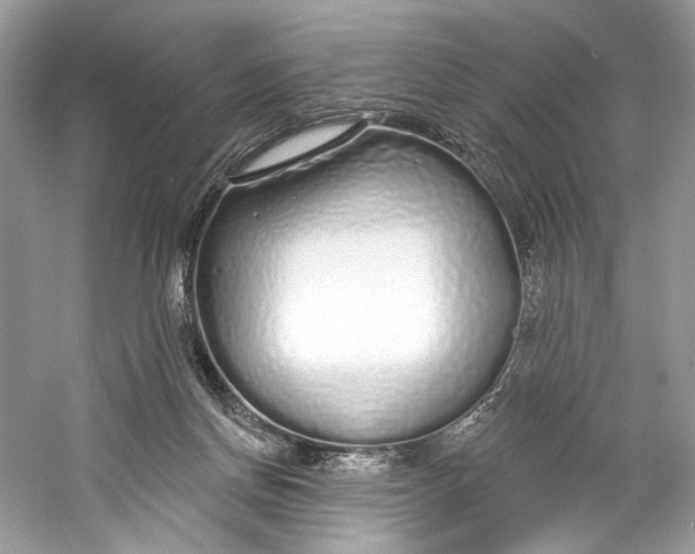 X0000060760166200512011523