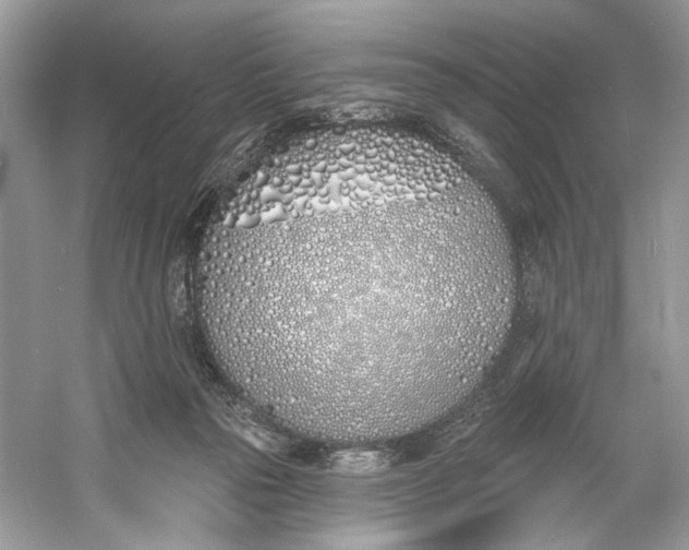 X0000060760169200512011523