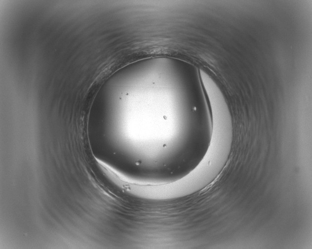 X0000060760171200512011523