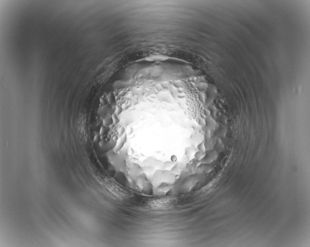 X0000060760178200512011523