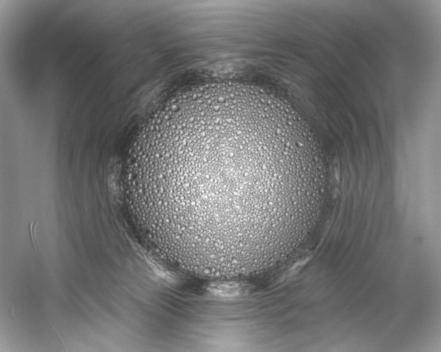 X0000060760181200512011523