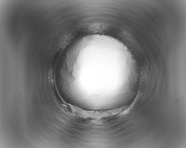 X0000060760182200512011523