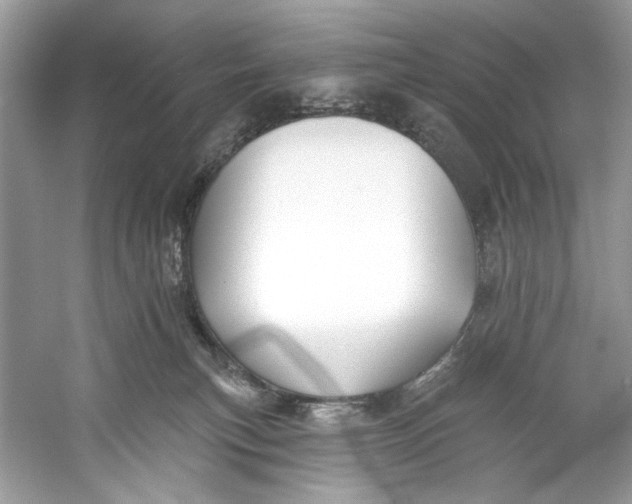 X0000060760183200512011523