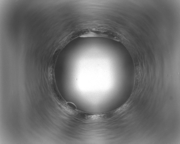 X0000060760184200512011523
