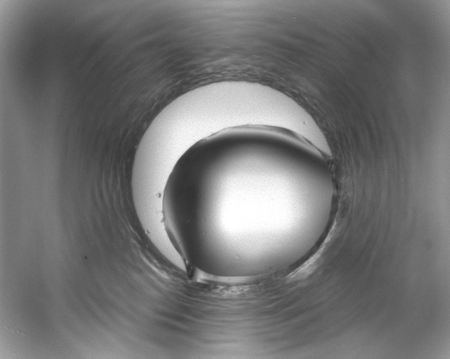 X0000060760186200512011524