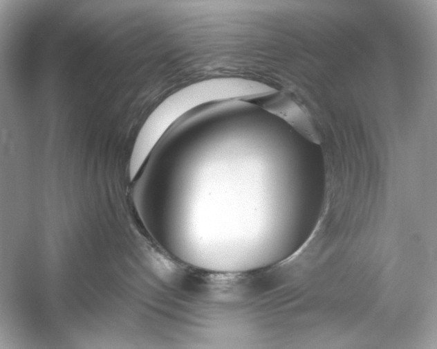 X0000060760192200512011524