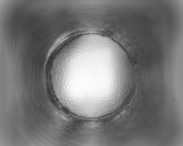 X0000060760198200512011523