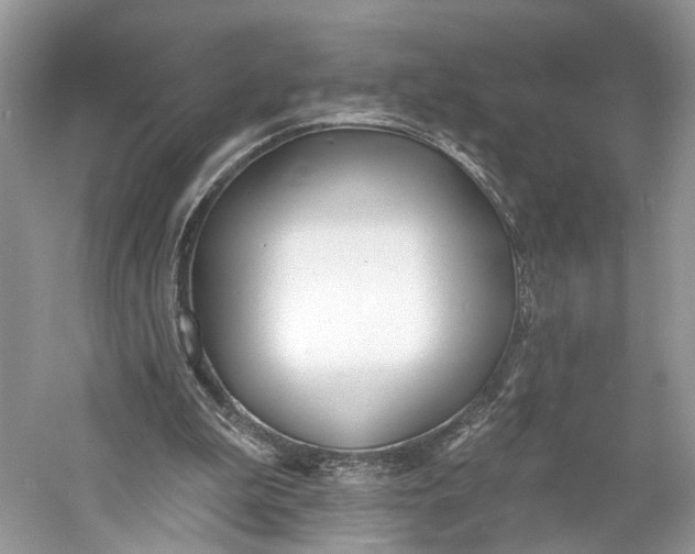 X0000060760199200512011523