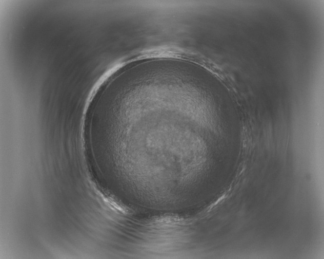 X0000060760200200512011523