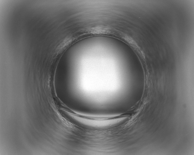 X0000060760201200512011523