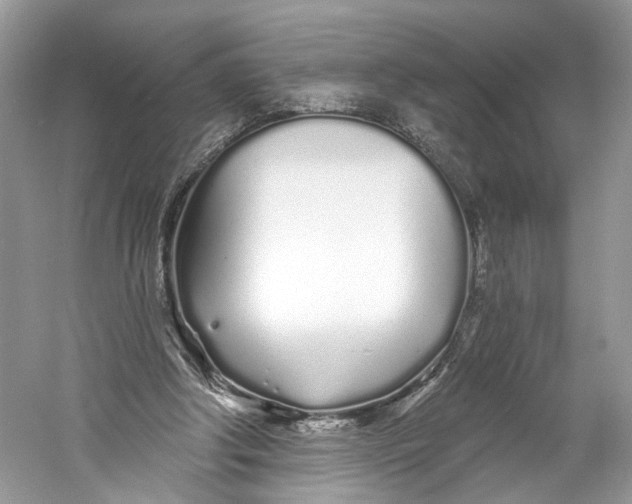 X0000060760202200512011523