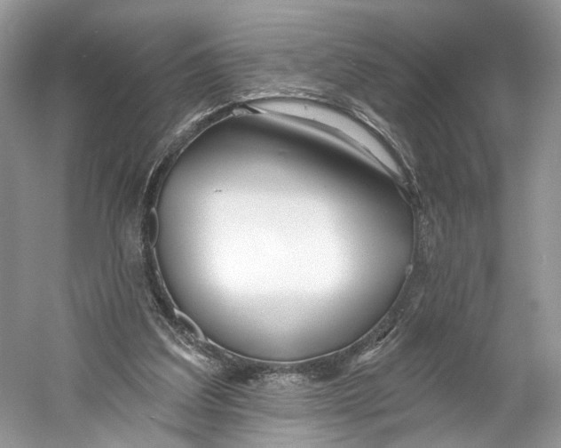 X0000060760203200512011523