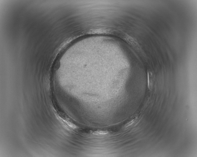 X0000060760204200512011523