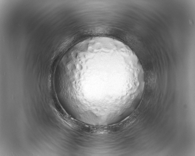 X0000060760206200512011523